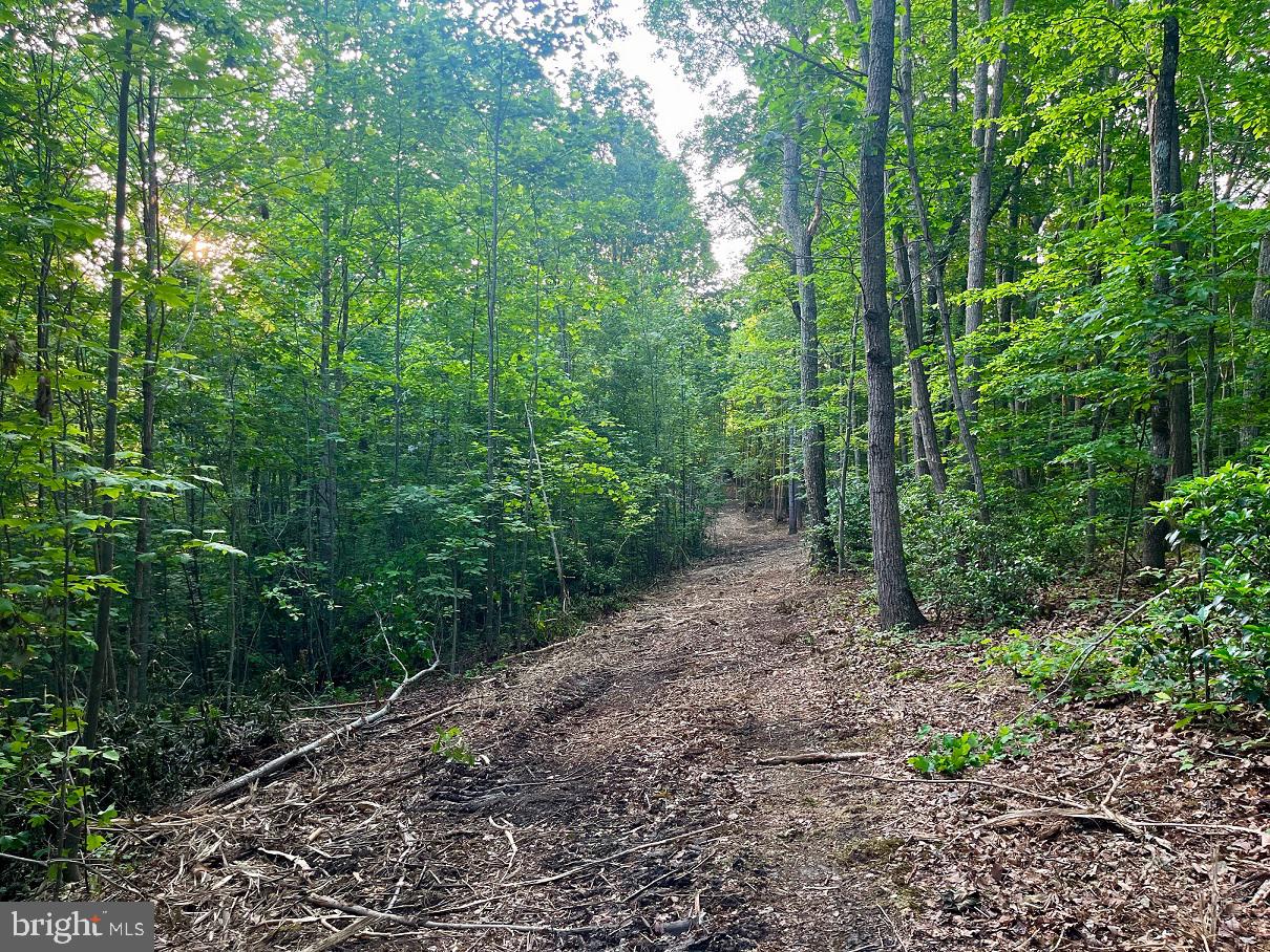 Lot 1 Ridge Road Barboursville, VA 22923 - Photo 10 of 16 Gallery Image 10
