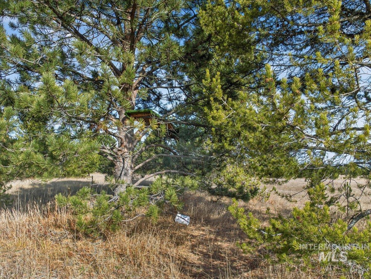 10201 Packsaddle Road Cascade, ID 83611 - Photo 45 of 50 View of undeveloped land