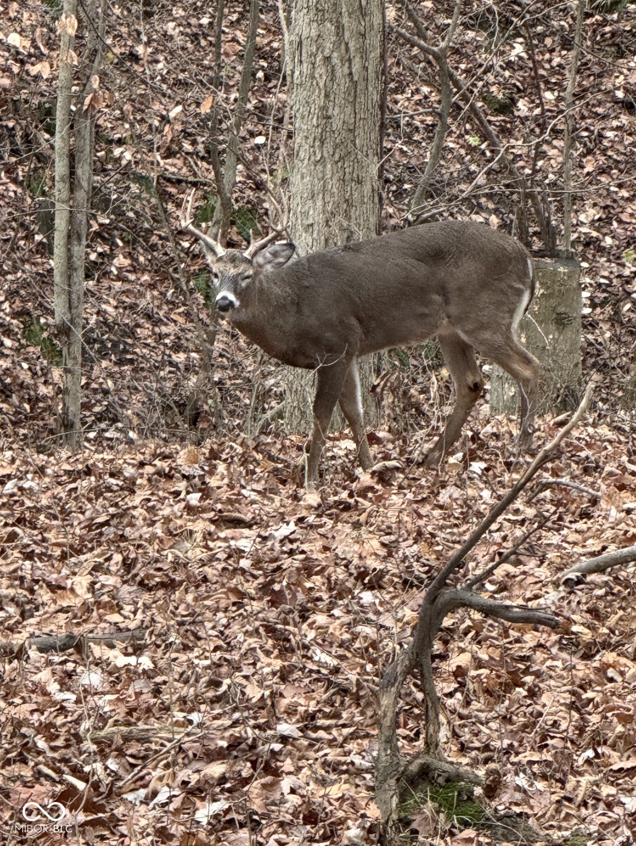 0 Stringtown South Road Covington, IN 47932 - Photo 14 of 19