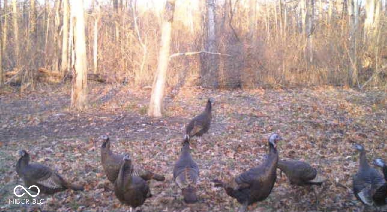 0 Stringtown South Road Covington, IN 47932 - Photo 16 of 19