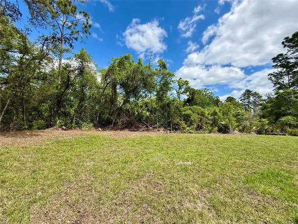 $535,000 | 30165 West Bluebell Avenue, Eustis, FL 32736