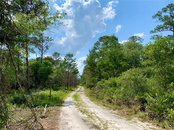$535,000 | 30165 West Bluebell Avenue, Eustis, FL 32736