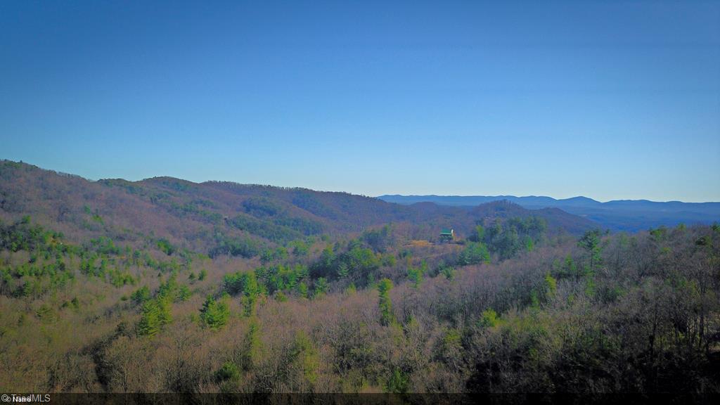 290 Eagle Nest Road Purlear, NC 28665 - Photo 22 of 48