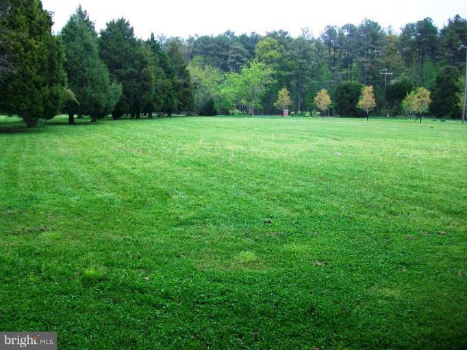 7874 Bozman Neavitt Road Bozman, MD 21612 - Photo 13 of 24 Wooded View / Acreage