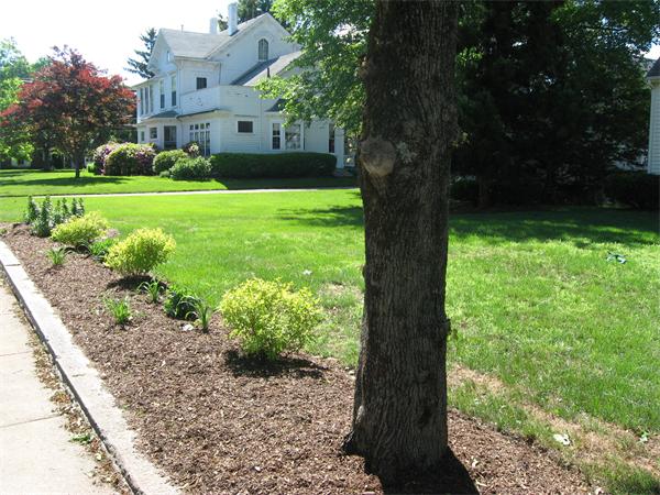 18 Spring Street Mansfield, MA 02048 - Photo 21 of 22 Gallery Image 21