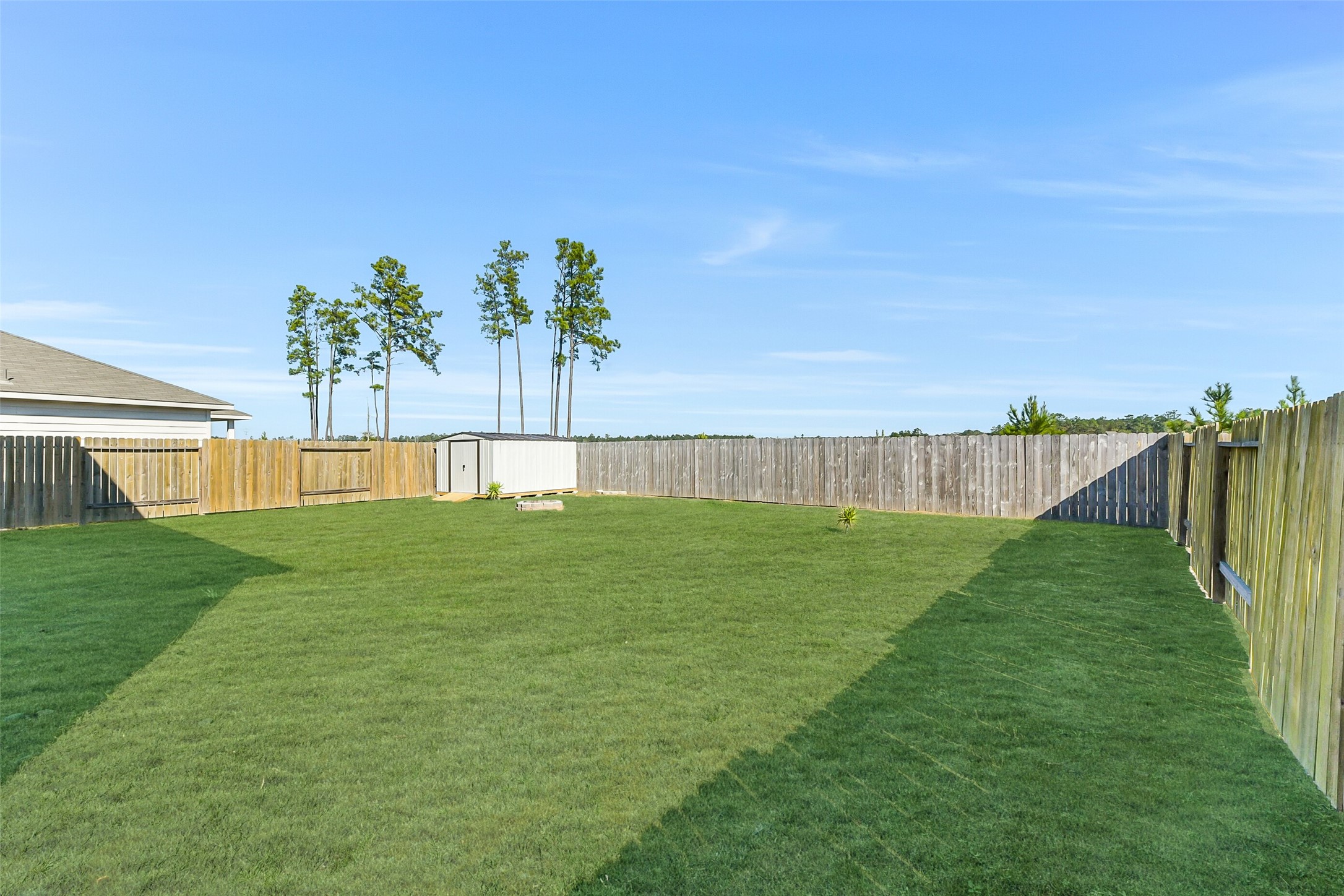 20142 Torrey Pines Lane Cleveland, TX 77327 - Photo 32 of 42 a view of garden with a big yard