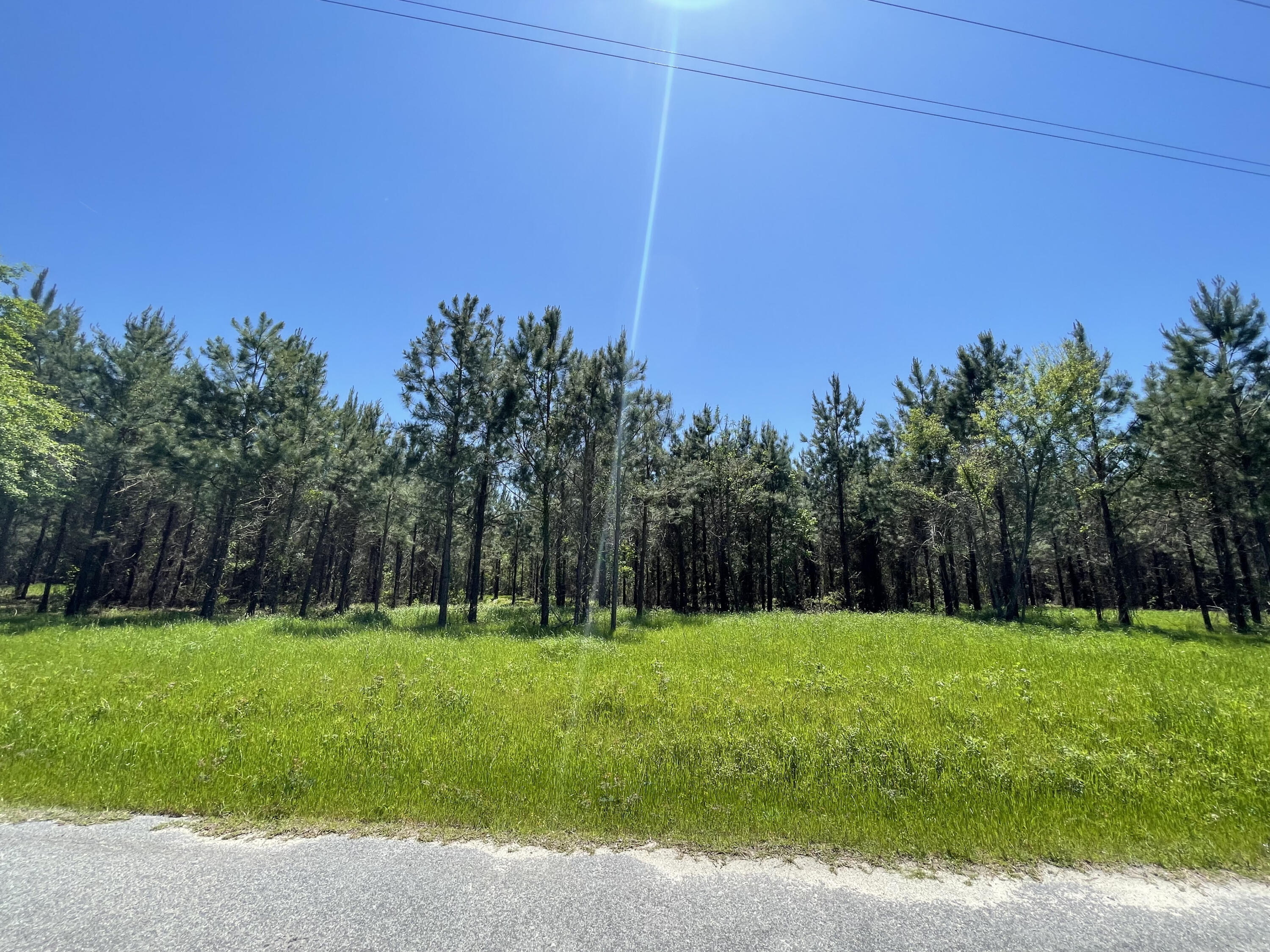 Lot 5-6 Harley Road Reevesville, SC 29471 - Photo 2 of 4 IMG_2370
