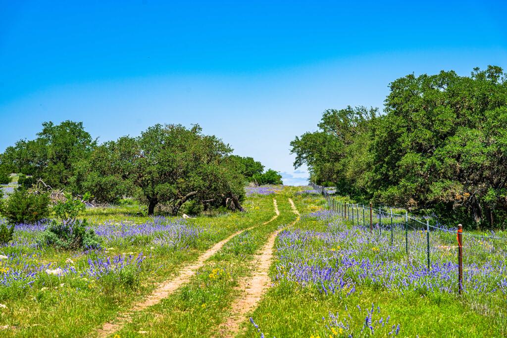 0 Morris Ranch Road Rocksprings, TX 78880 - Photo 23 of 40 Gallery Image 23