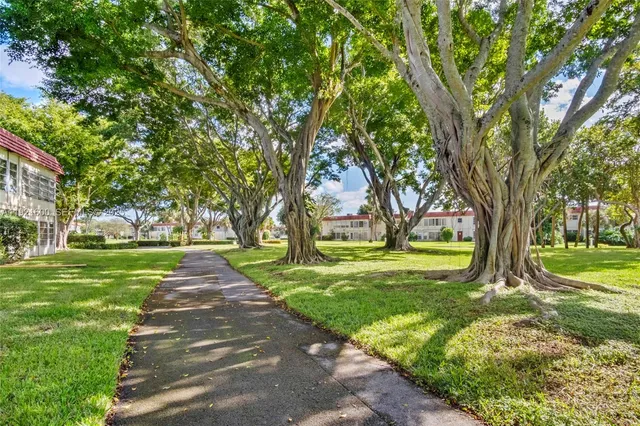 a view of a backyard with large trees