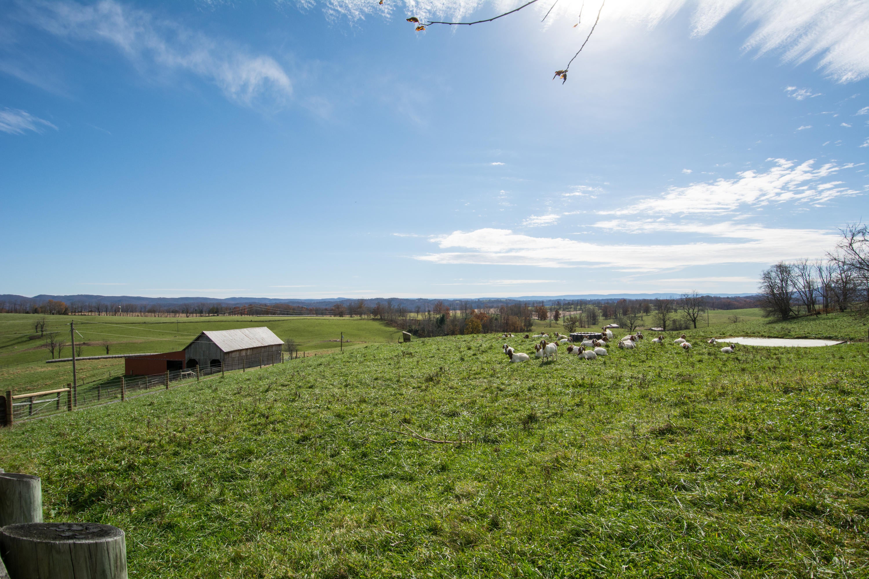 2830 Davis Stuart Road Lewisburg, WV 24901 - Photo 99 of 115 Gallery Image 99