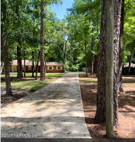 a view of a yard with plants