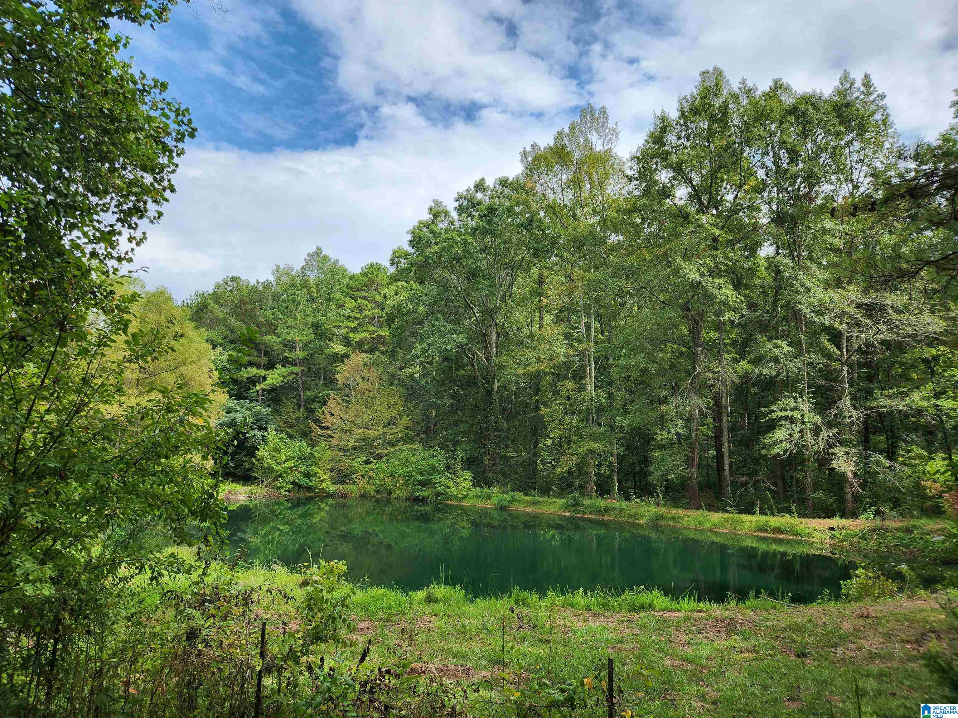 14843 Gallant Road Gallant, AL 35972 - Photo 66 of 100