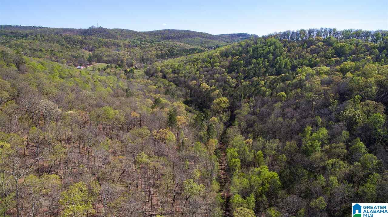 8751 Clayton Cove Road Springville, AL 35146 - Photo 40 of 44