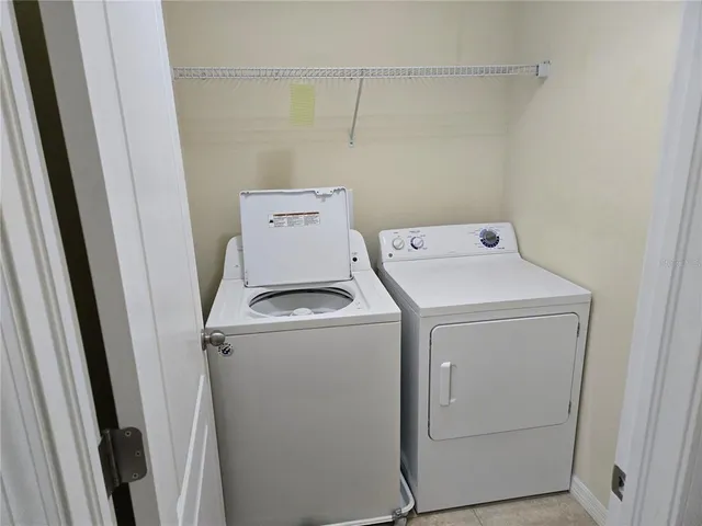 a view of a garden with palm tree