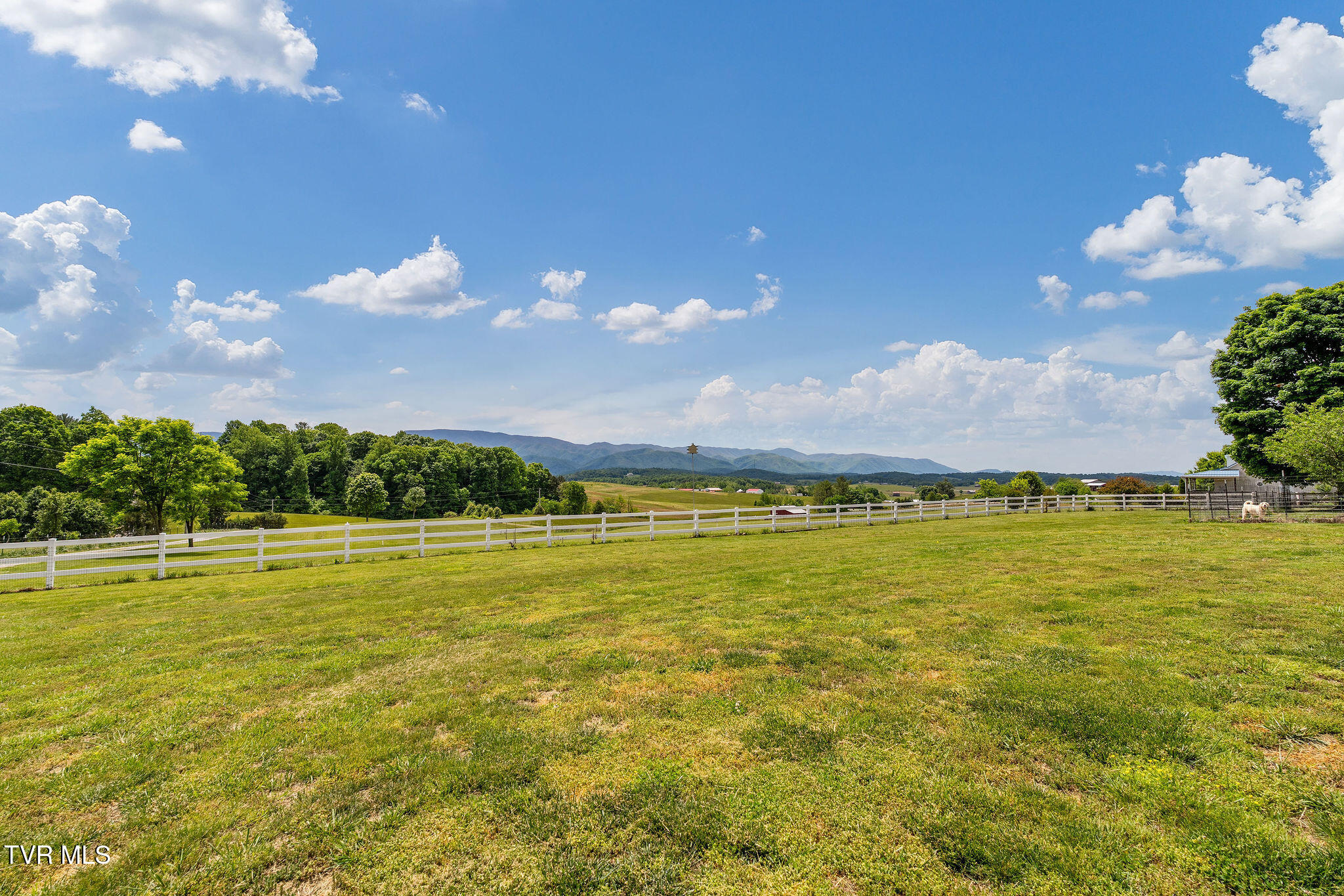 1385 Wilhoit Road Chuckey, TN 37641 - Photo 5 of 126 DSC08874