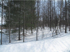 10 Grant Road Gilford, NH 03249 - Photo 4 of 5