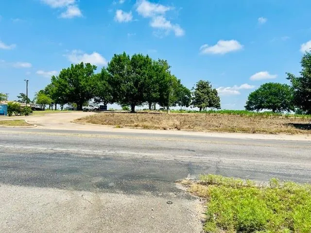 a view of a yard with a large tree