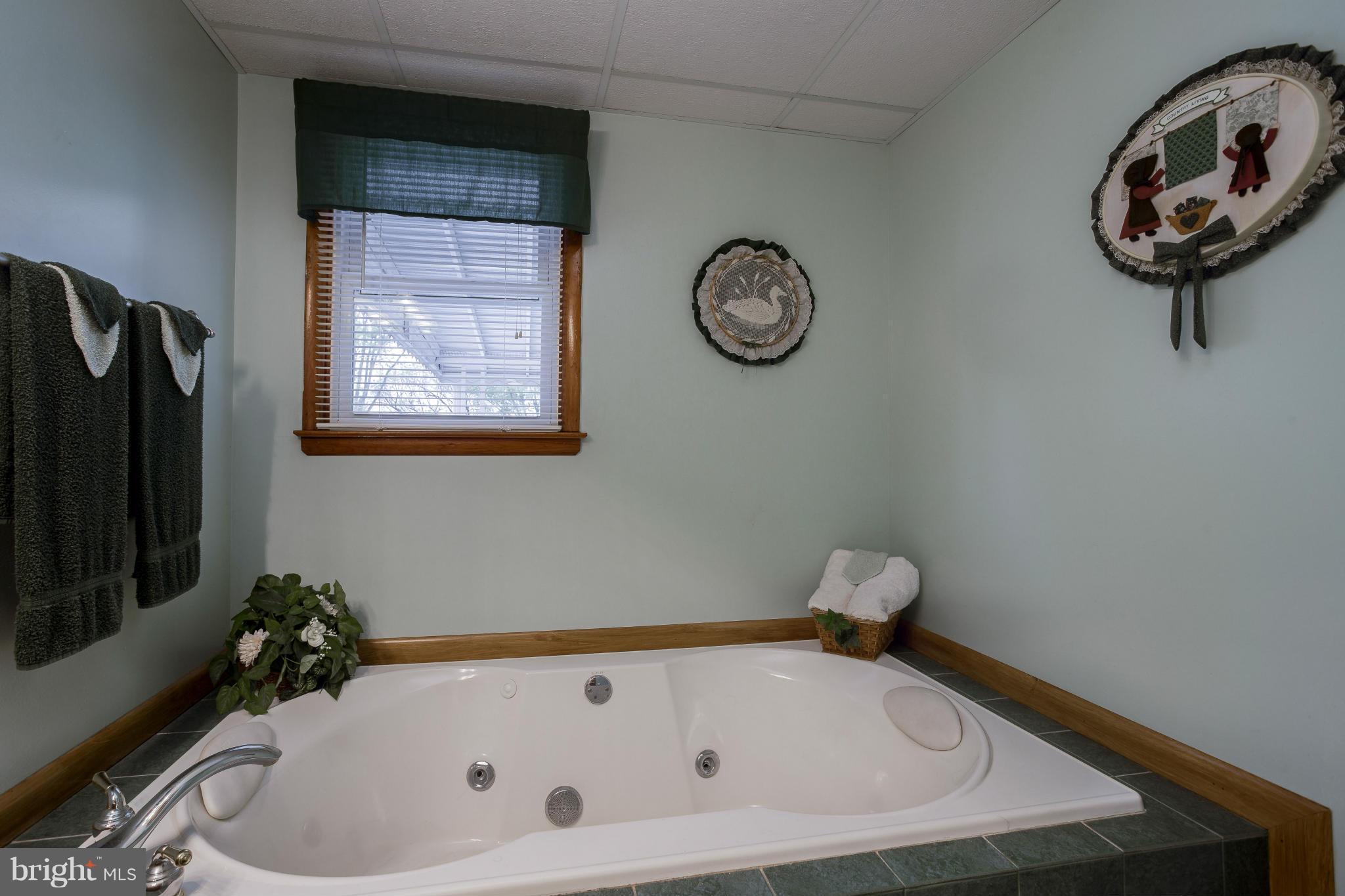 4225 Mispillion Road Baltimore, MD 21236 - Photo 14 of 20 Bath (Master)