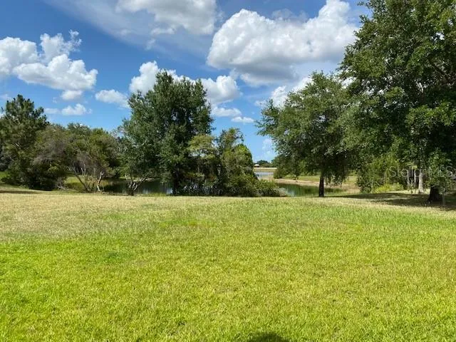 a view of outdoor space with trees all around