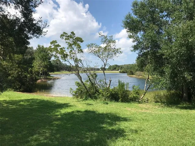 a backyard of a house with lots of green space and lake view