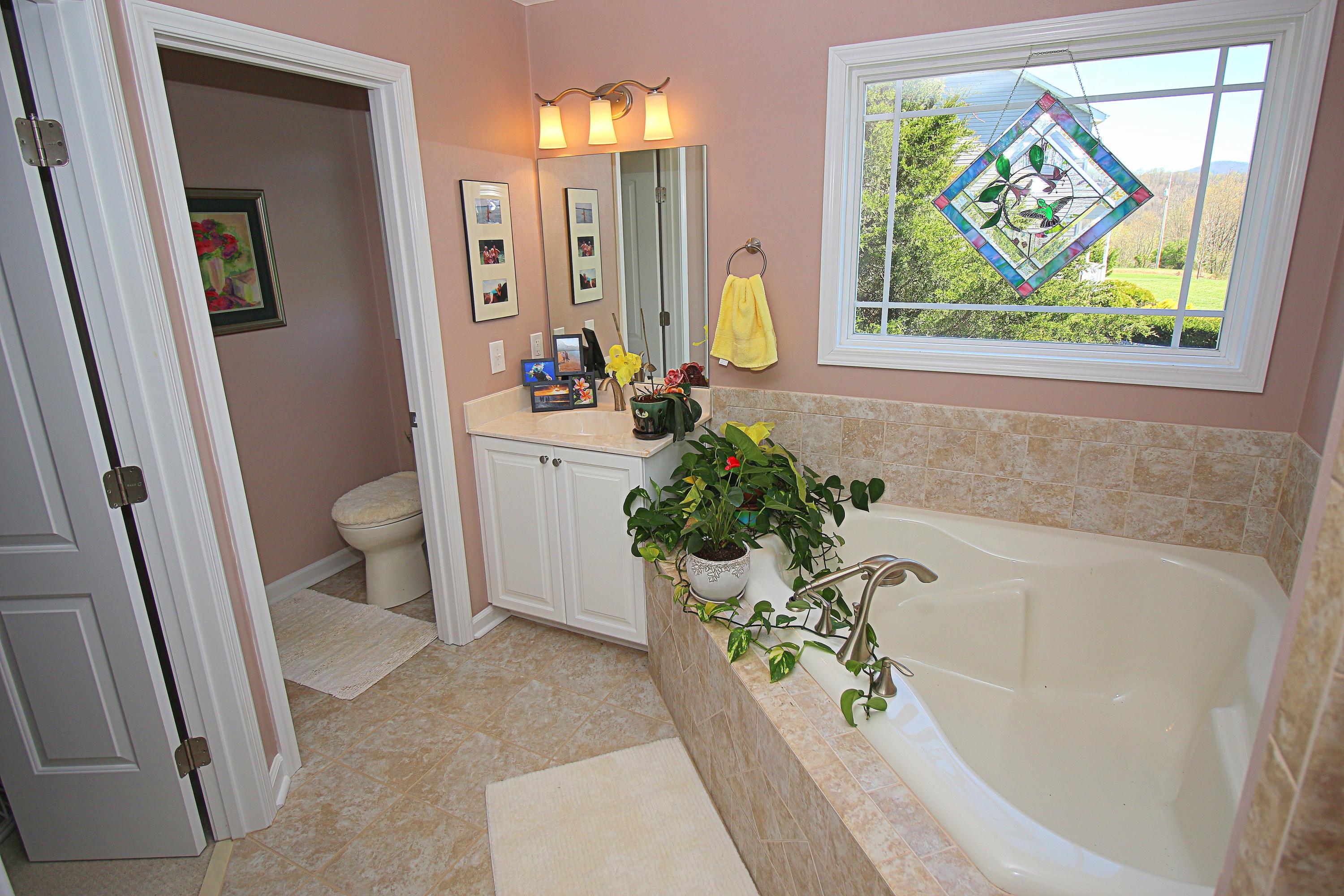 244 Oak Ridge Road Buchanan, VA 24066 - Photo 25 of 51 IMG_1828