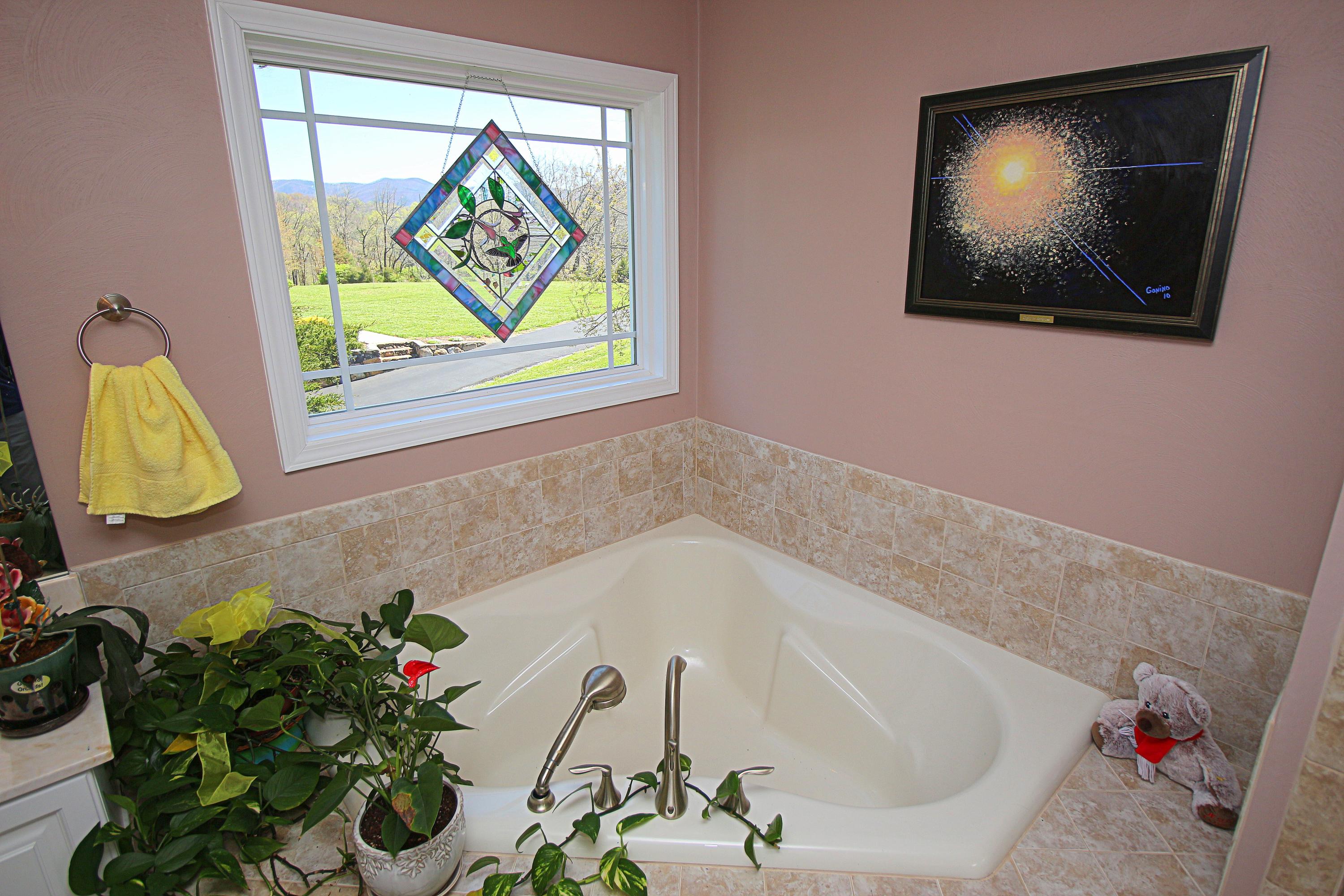 244 Oak Ridge Road Buchanan, VA 24066 - Photo 26 of 51 IMG_1832
