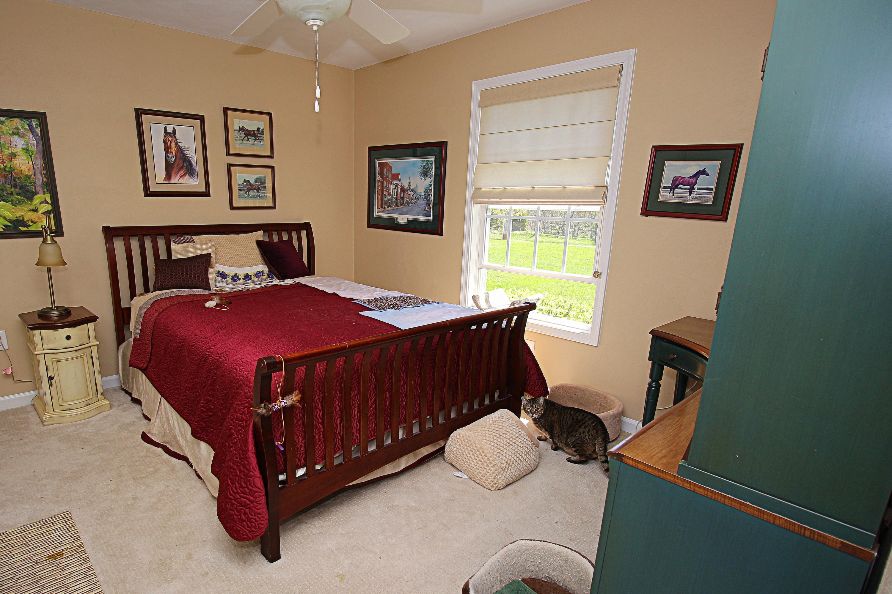 244 Oak Ridge Road Buchanan, VA 24066 - Photo 29 of 51 IMG_1839