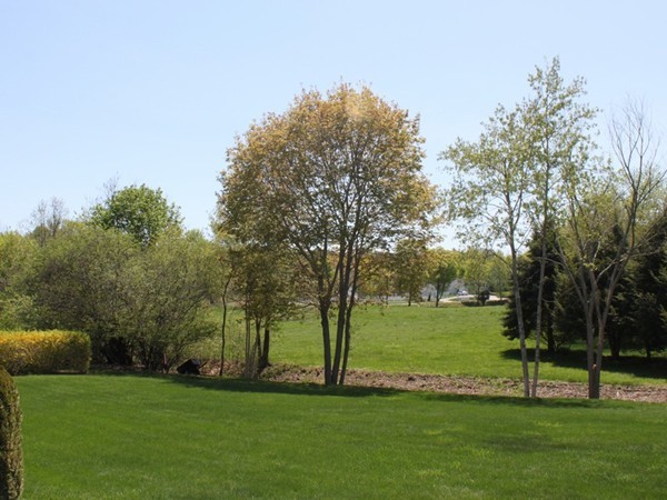 6 Ruggles Pond Road Westborough, MA 01581 - Photo 13 of 13 Gallery Image 13