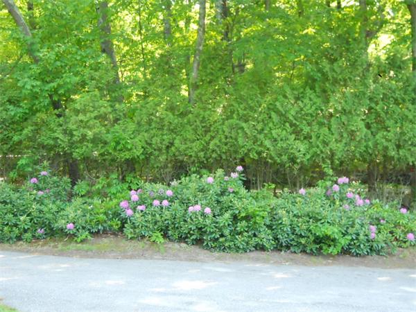 15 Laurel Road Bolton, MA 01740 - Photo 3 of 21