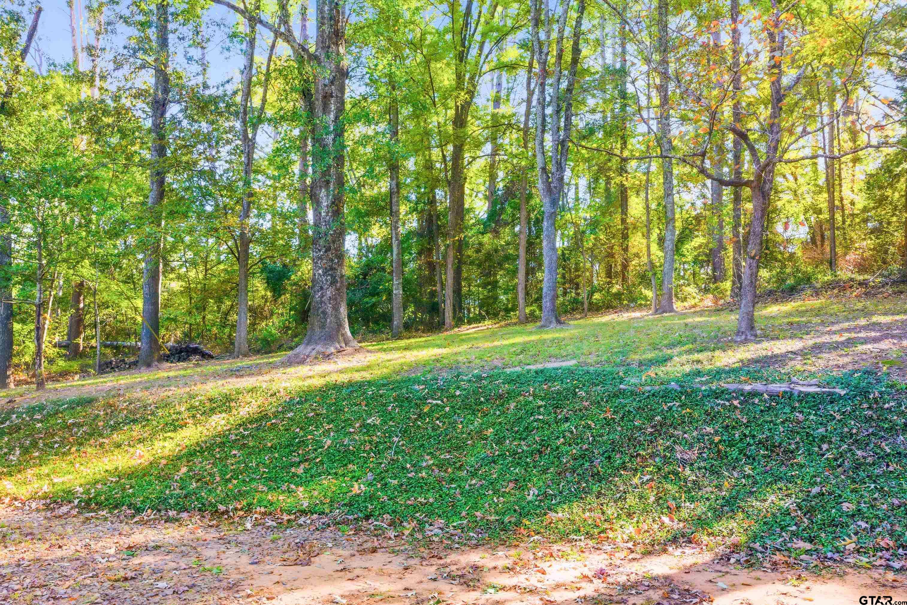 14525 Lake Road West Tyler, TX 75709 - Photo 12 of 30 a view of a yard with plants and trees