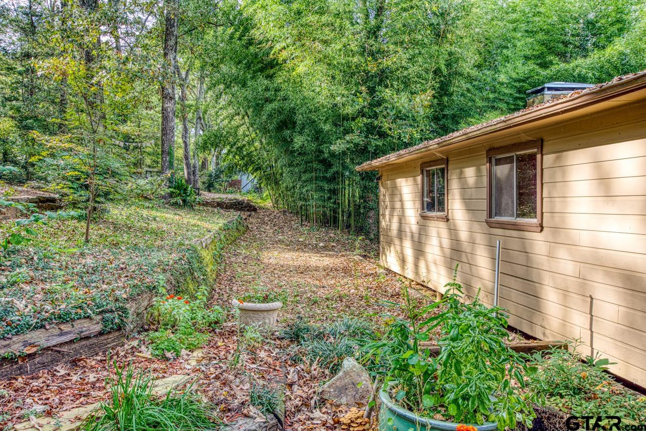 14525 Lake Road West Tyler, TX 75709 - Photo 19 of 30 a backyard of a house with lots of green space