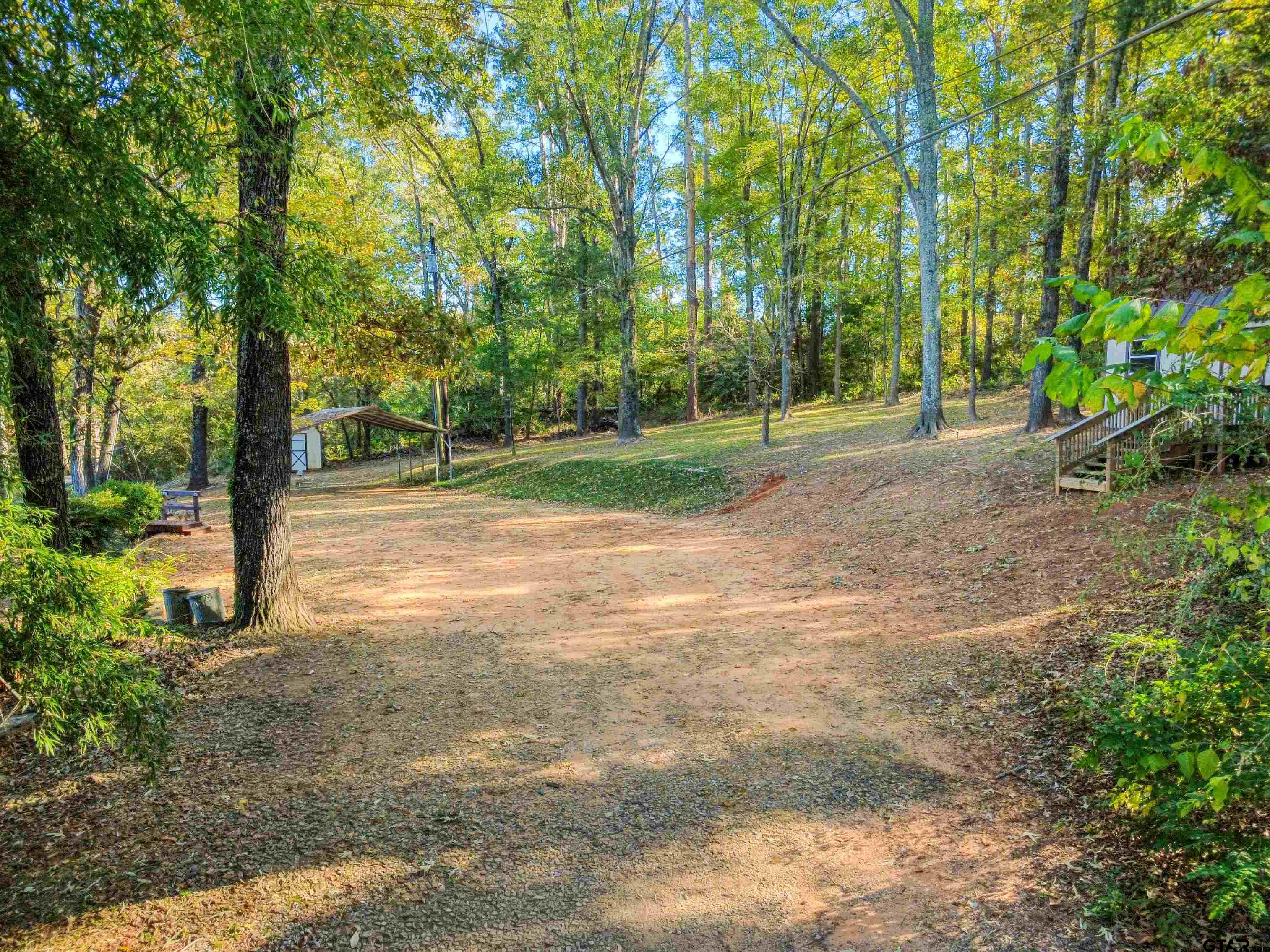 14525 Lake Road West Tyler, TX 75709 - Photo 2 of 30 a view of a tree in the middle of a yard