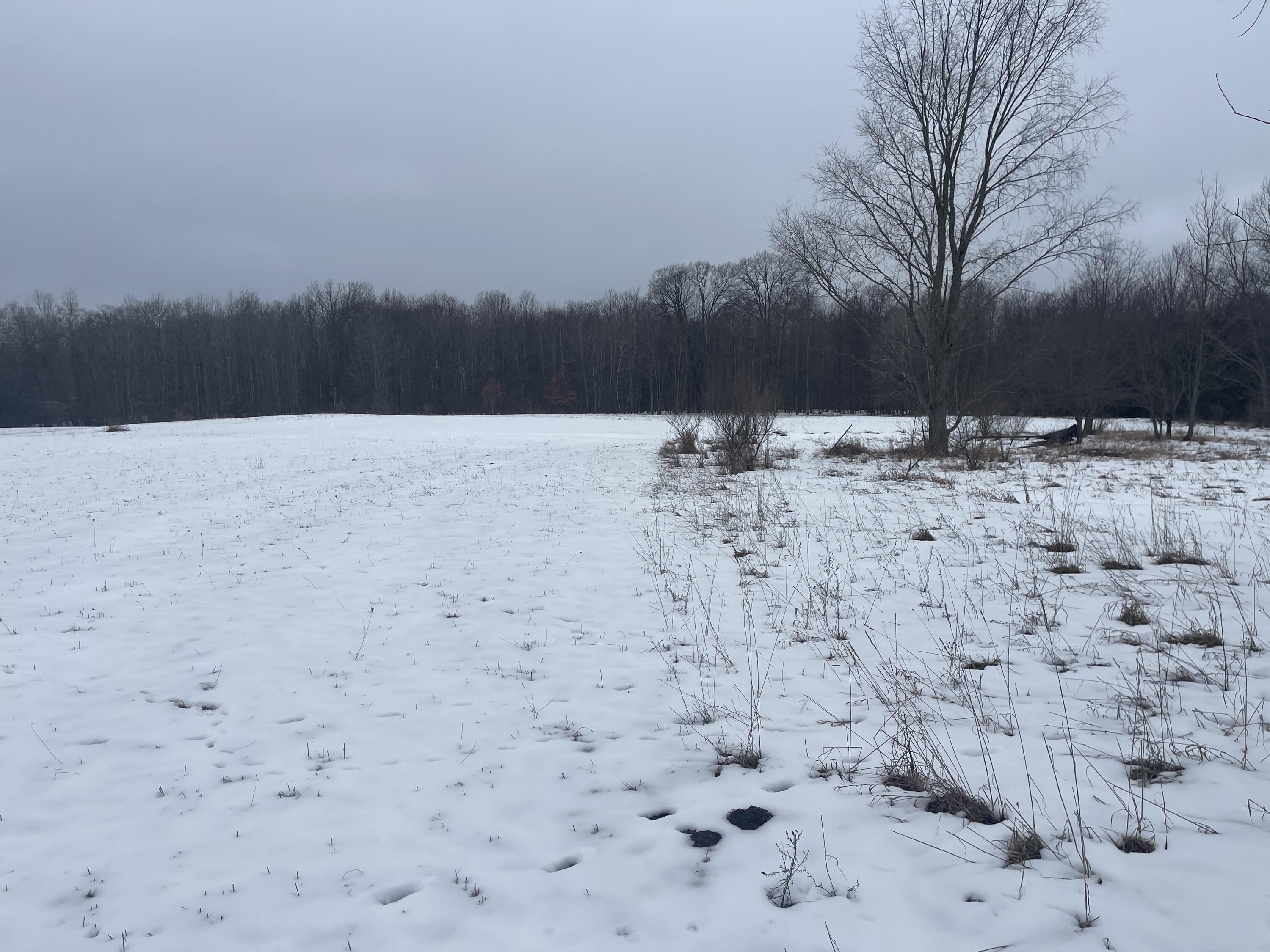 V/l Keith Road Brethren, MI 49619 - Photo 1 of 18 IMG_1989