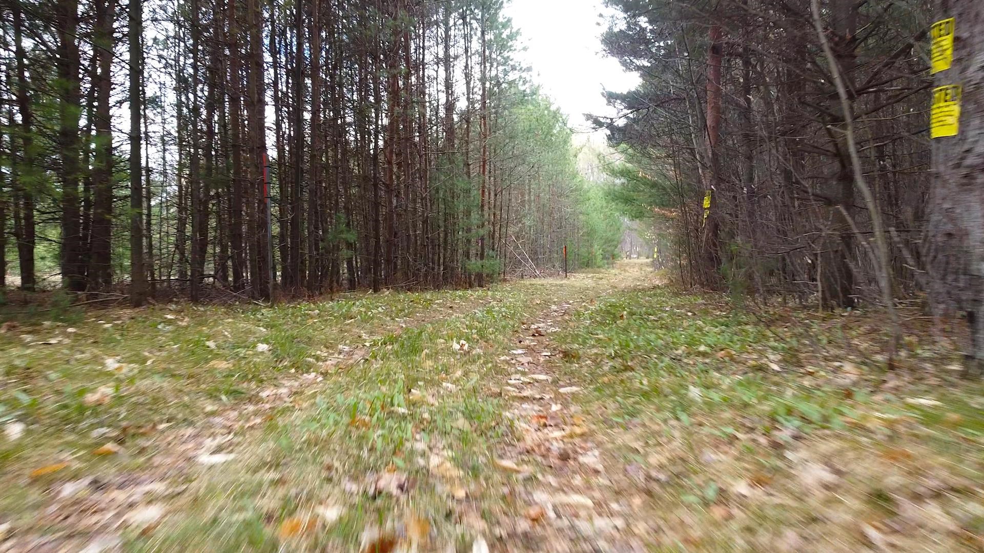 Southeast Spencer Road Southeast Kalkaska, MI 49646 - Photo 10 of 36