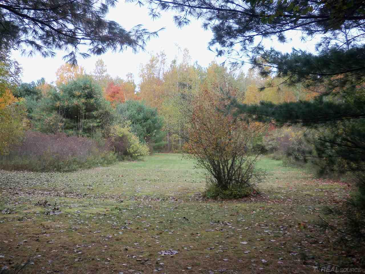 5358 Davis Road St. Clair, MI 48079 - Photo 21 of 24 More back yard