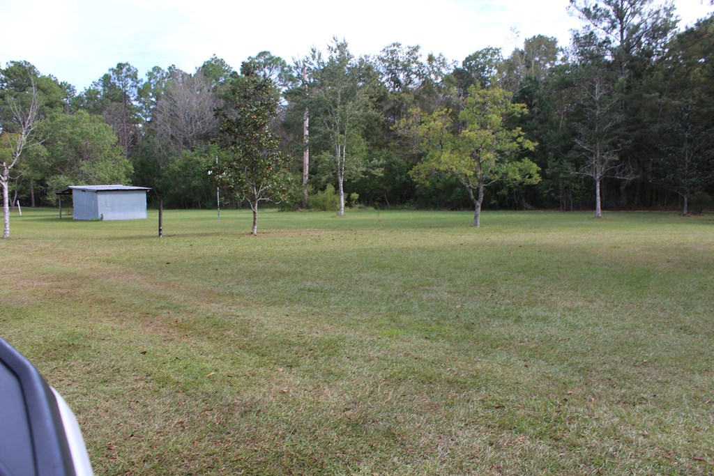 930 Edwin Reynolds Road Cottonwood, AL 36320 - Photo 24 of 32