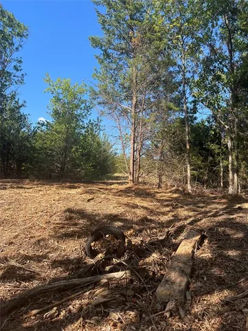 a view of dirt field with trees
