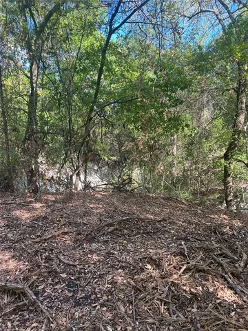 a view of a yard with plants and trees