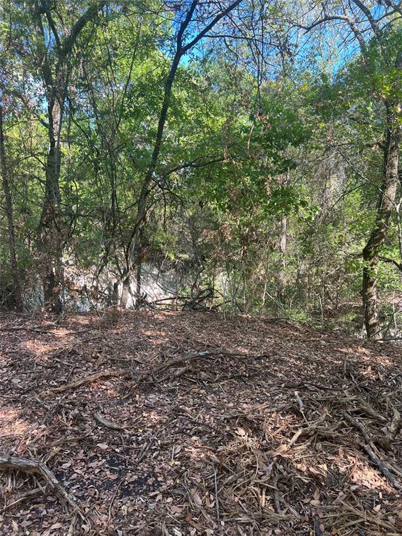 Tbd Tbd Rochelle Cannon Road Bells, TX 75414 - Photo 13 of 14 a view of a yard with plants and trees