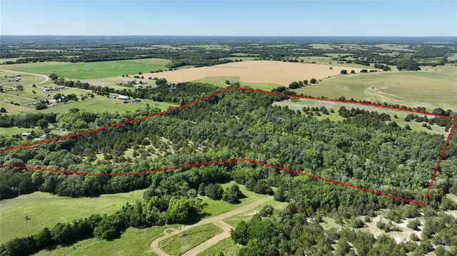 a view of a city and ocean view