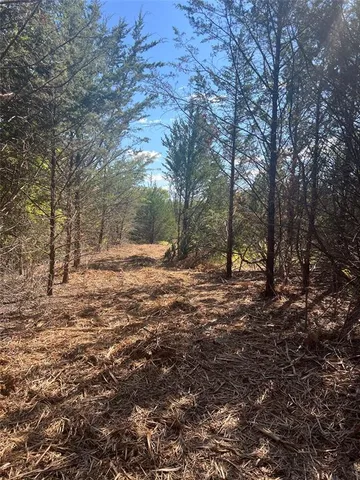 a view of outdoor space with trees