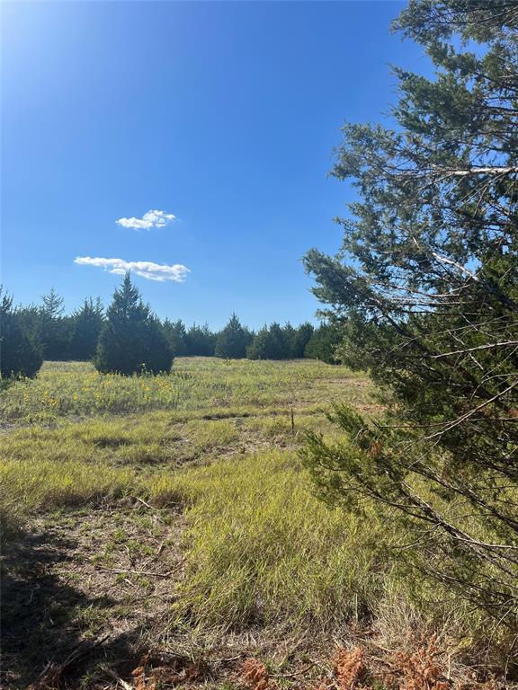 Tbd Tbd Rochelle Cannon Road Bells, TX 75414 - Photo 8 of 14 a view of lake and mountain