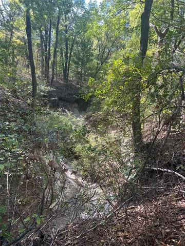 a view of a forest with trees