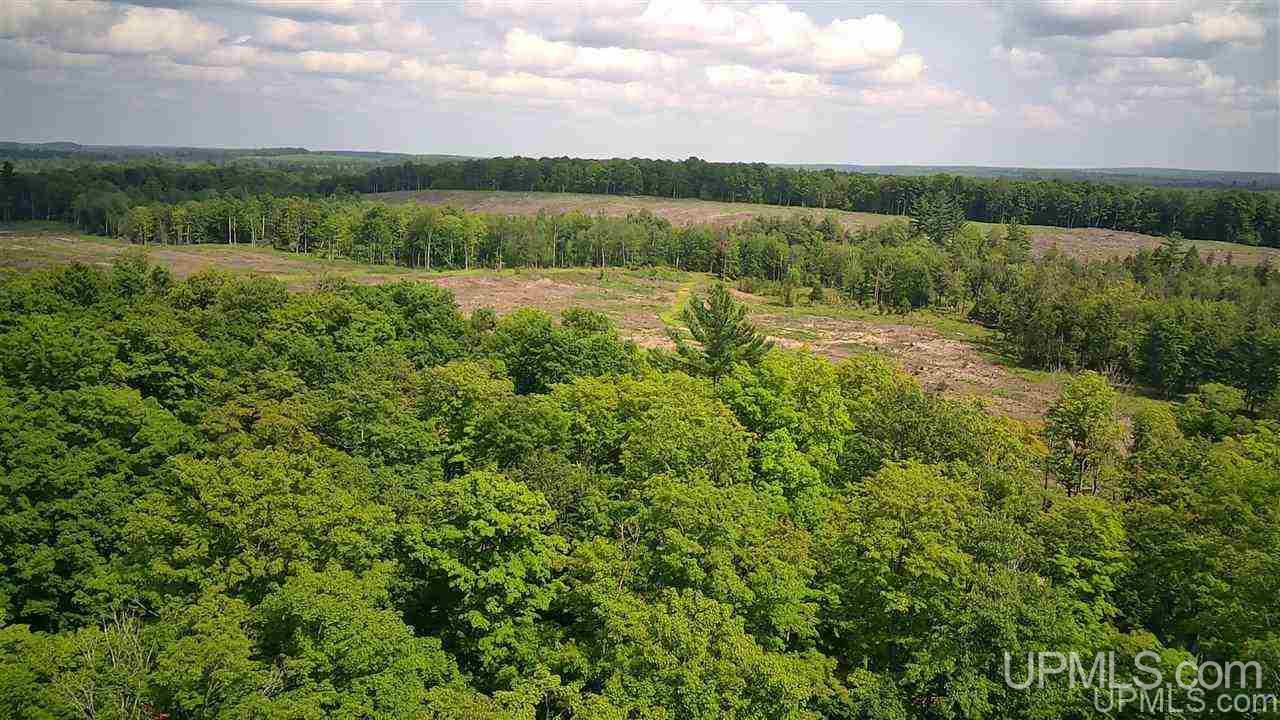 Tbd Sand Road, Unit 2 Powers, MI 49874 - Photo 1 of 38
