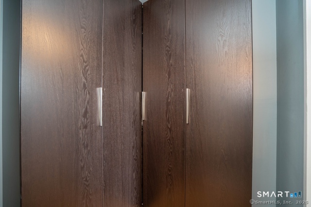 1 Gold Street, Unit 23F Hartford, CT 06103 - Photo 12 of 13 walk in closet