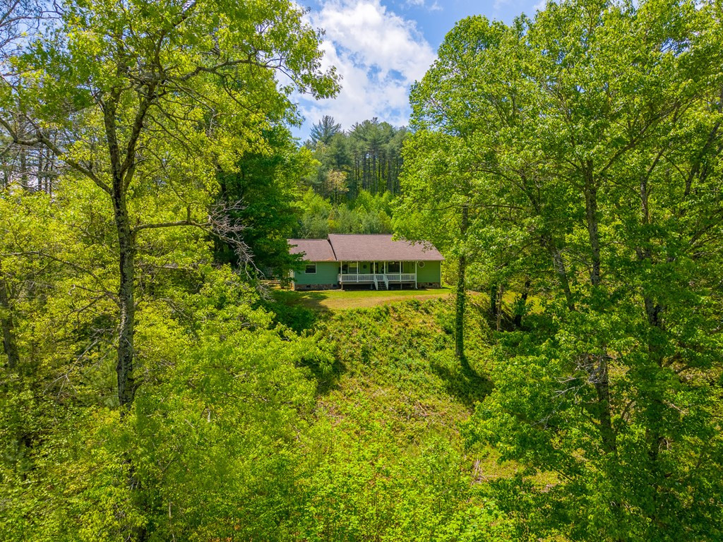 1364 Atoah Road Robbinsville, NC 28771 - Photo 45 of 71