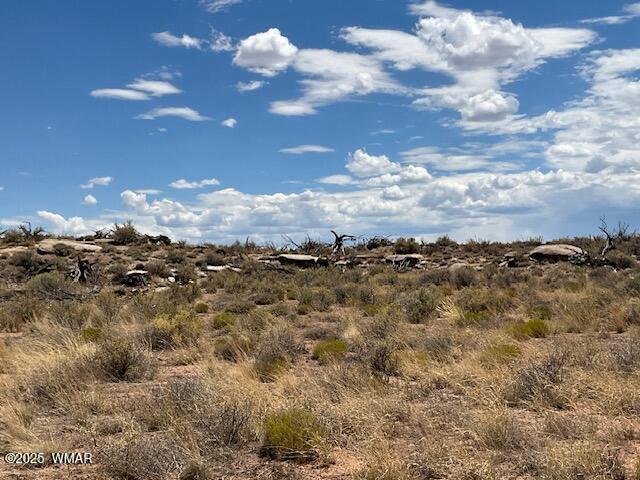 0 Churchill Road Snowflake, AZ 85937 - Photo 23 of 29 IMG_8507