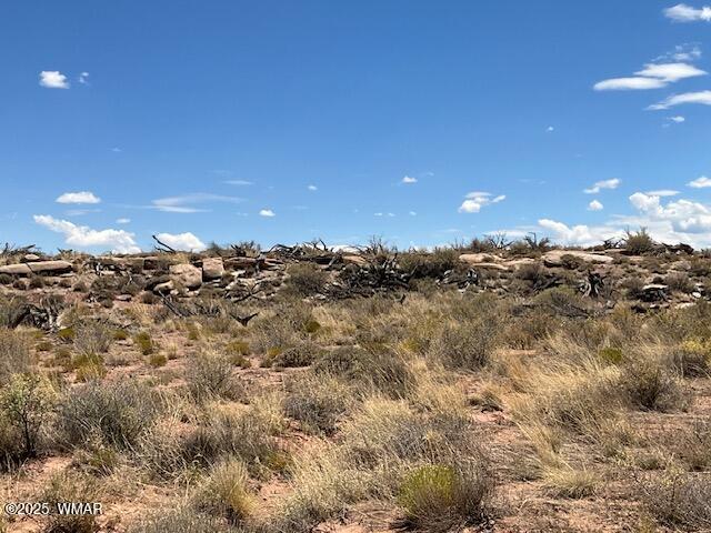 0 Churchill Road Snowflake, AZ 85937 - Photo 24 of 29 IMG_8508
