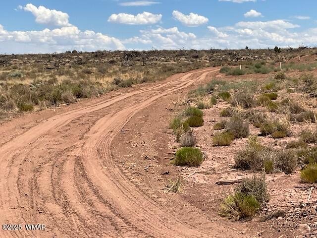 0 Churchill Road Snowflake, AZ 85937 - Photo 25 of 29 IMG_8511