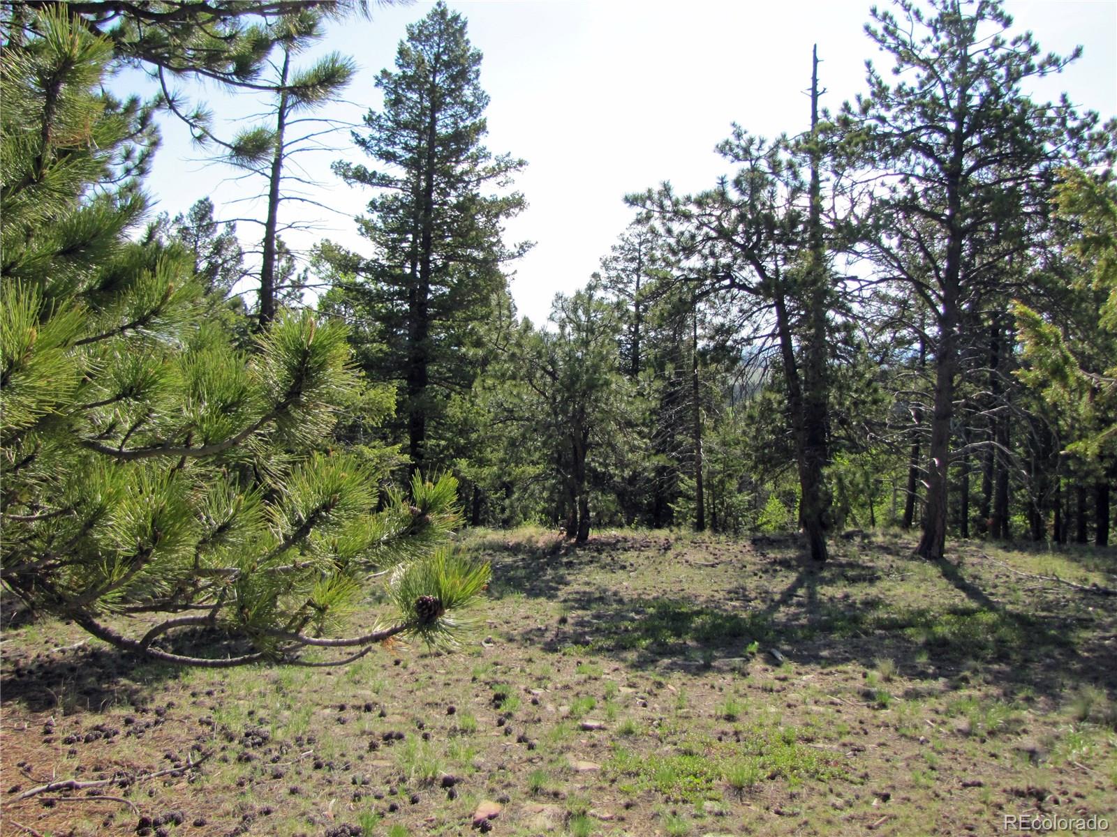 578 Singletree Road Hartsel, CO 80449 - Photo 1 of 11